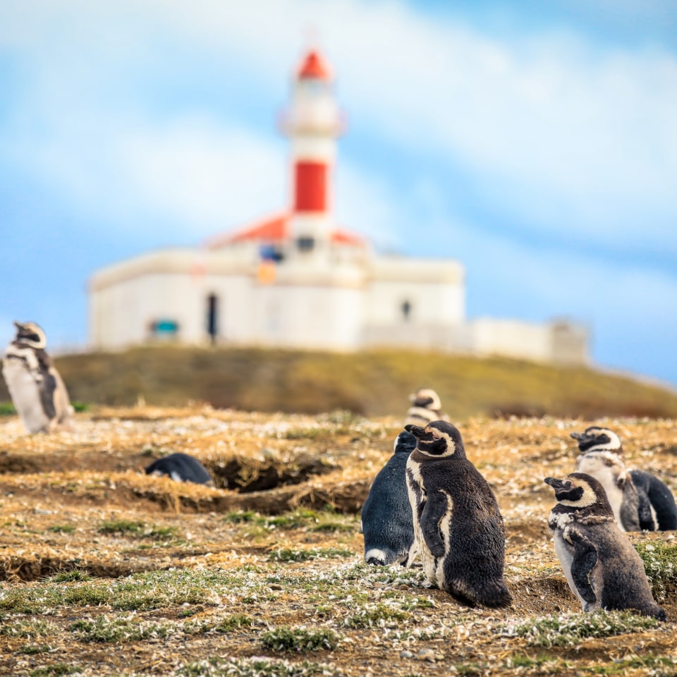 Auf wilden Pfaden durch das Land am Ende der Welt
